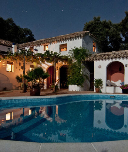 You Can Visit Now Our All Projects.